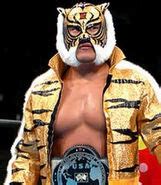 Tiger Mask IV/Image gallery | Pro Wrestling | FANDOM powered by Wikia