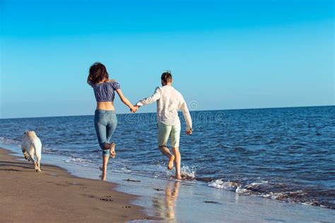 Portrait of a Happy Couple with Dogs at the Beach Stock Photo - Image ...