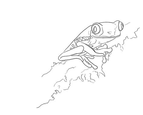 WS2105: Red-Eyed Tree Frog - Lineart | Workshop by Lisa Lach… | Flickr