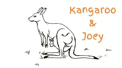 How to draw a kangaroo and joey - YouTube