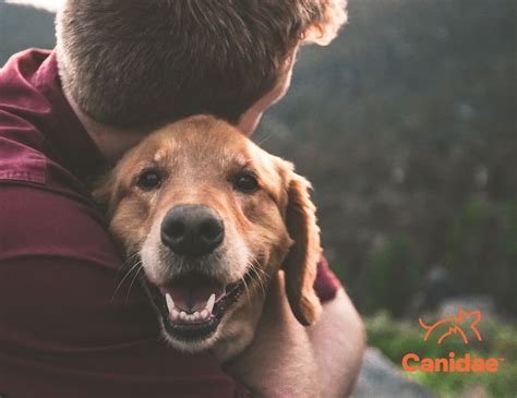 Animal Empathy: What Pets Teach Us About Caring for Each Other - Canidae