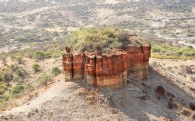 Olduvai Gorge - Touching the Roots of Your Family Tree