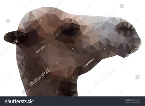 Camel Head Polygonal Design Vector Illustration Stock Vector (Royalty ...