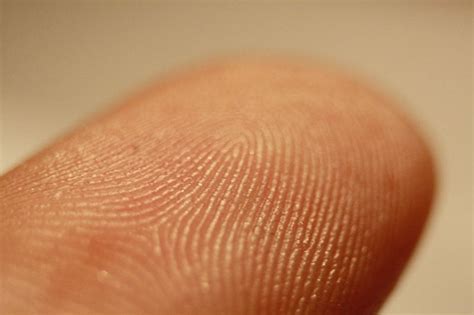 Fingerprint drug-testing – How It Works