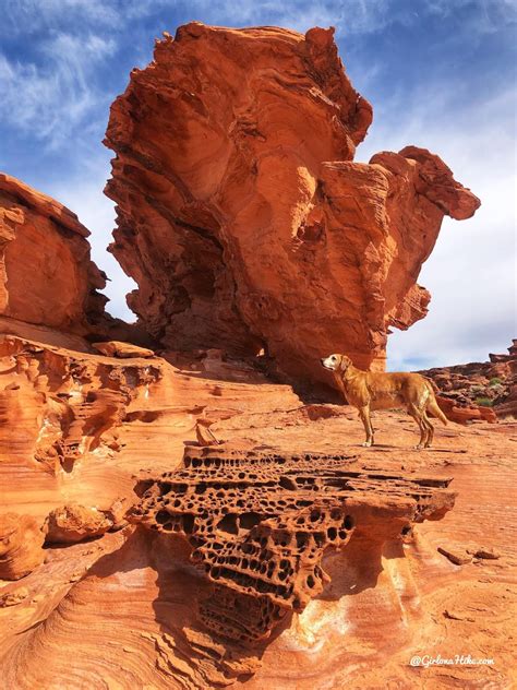 Hiking at Gold Butte National Monument – Girl on a Hike