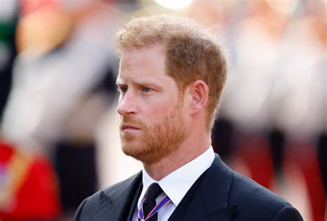 Another Prince Believes Harry Has Been 'Suffering' Since He and Meghan ...