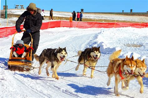 7 Winter Activities You Have to Try in Canada | The Chronicles of ...