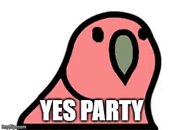 Party Parrot - Imgflip