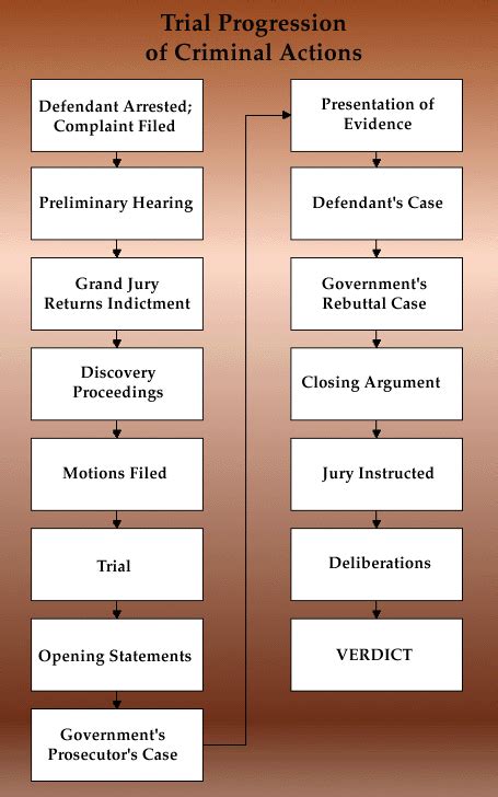 Judicial System