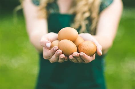 Egg Donation Requirements: Everything You Need to Know — Arbor Fertility