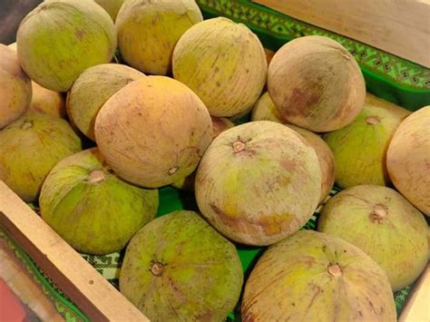 Health, culinary benefits of santol | Philstar.com