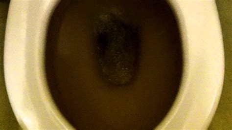 Brown Coloured Swirly Flushes Toilet - YouTube