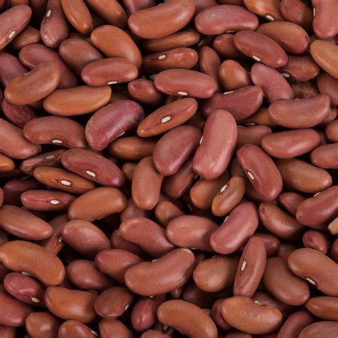 Buy Dried Light Red Kidney Beans - 20 lb. at WebstaurantStore