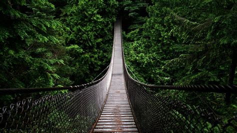 Lynn Canyon Suspension Bridge - backiee