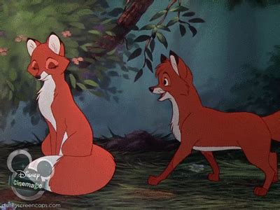 Fox and the Hound GIF - Classic Disney Photo (24041612) - Fanpop