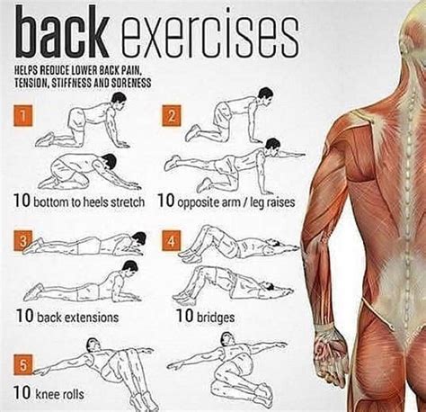 This is a great workout you can do with dumbbells at home for your back! These workouts will ...