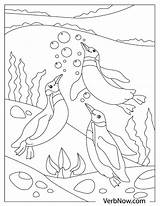 Free PENGUIN Coloring Pages For Download Printable PDF  VerbNow sketch template