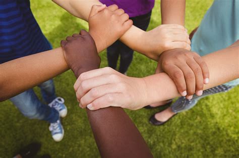 Children Holding Hands Together At Park Stock Photo - Download Image Now - iStock