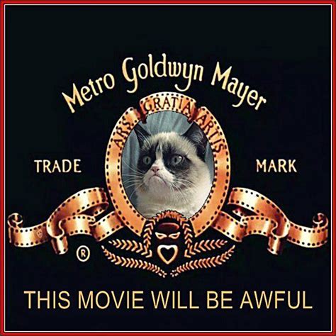 Grumpy Cat Movie | MyConfinedSpace