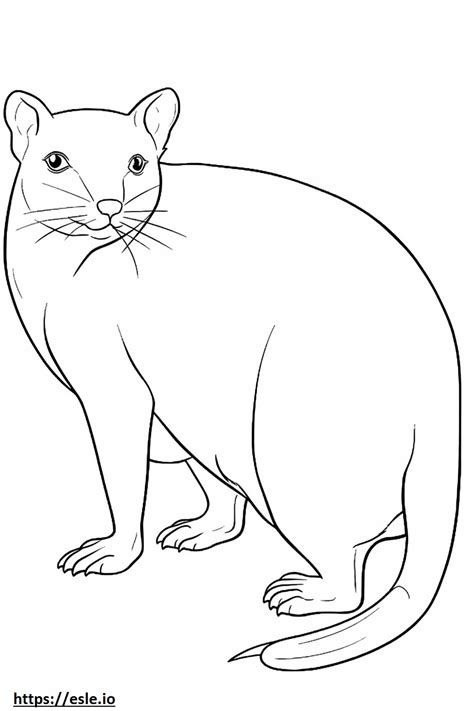 Burmese full body coloring page