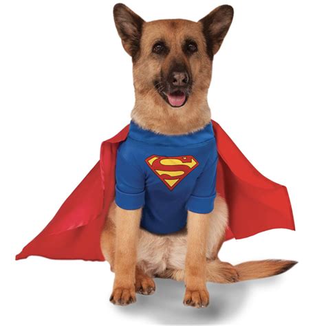 20+ Cute Halloween Costumes for Extra Large Dogs (up to 3XL!) - Hey ...