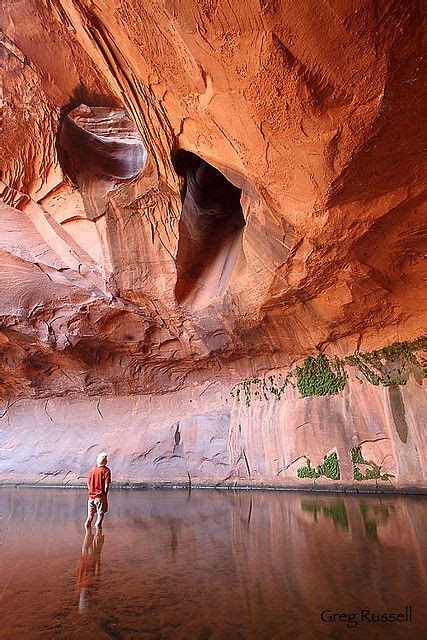 Inside the Golden Cathedral | Places to travel, Places to visit, Escalante national monument