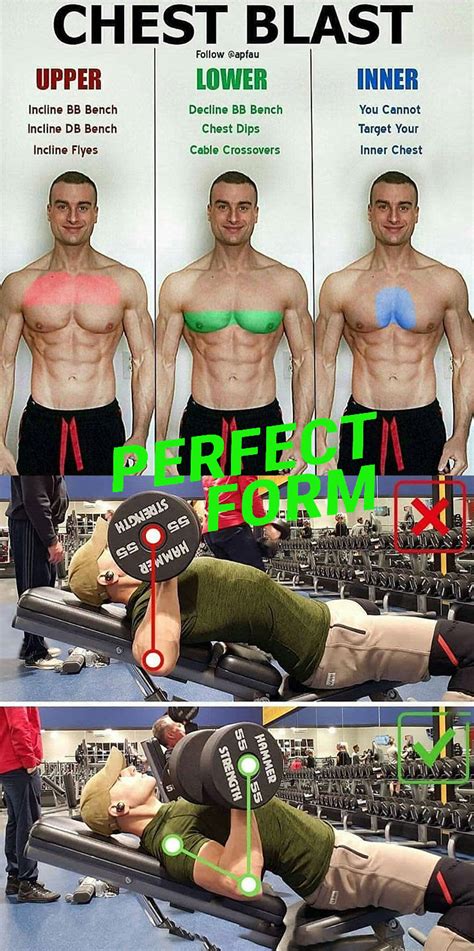 Inner Chest Workout With Dumbbells | Blog Dandk