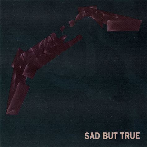 Metallica - Sad But True (1993, CD) | Discogs