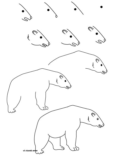 Simple Polar Bear Drawing at GetDrawings | Free download