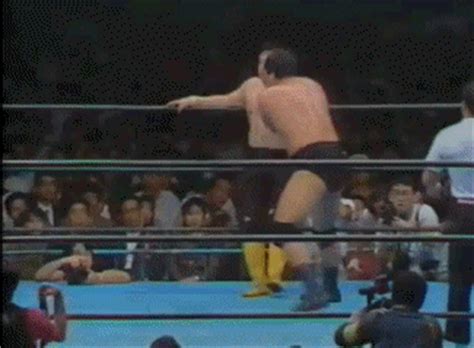 ProWresBlog: AJPW 10/24/1991 - Triple Crown - Jumbo Tsuruta vs Toshiaki ...