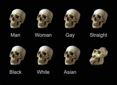 Made very HD skull meme with dark theme, invest now before it loses all the pixels : r/MemeEconomy