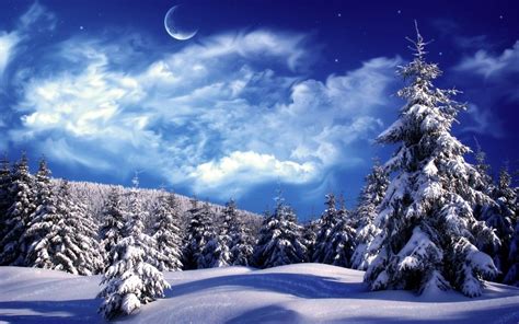 Winter Wonderland | Winter scenery, Winter pictures, Winter snow wallpaper