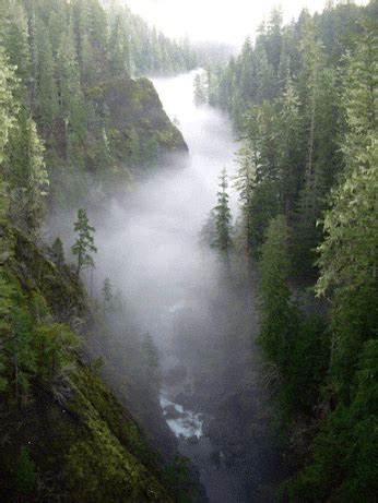 R.T. GATES | Nature, Beautiful nature, Olympic national forest