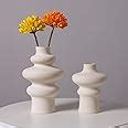 Amazon.com: Ceramic Vase Set of 2- Pampas Ceramic Vase White Flower Vases, Modern Home Decor ...