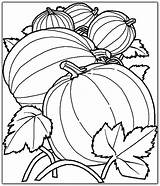 Free Printable Fall Harvest Coloring Pages At GetDrawings  Download sketch template