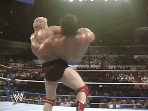 Summerslam 1988 GIFs - Find & Share on GIPHY