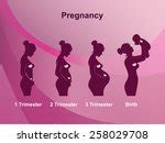 Pregnancy And Newborn Free Stock Photo - Public Domain Pictures