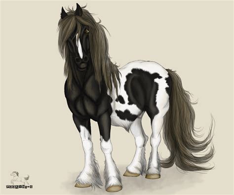 Gypsy cob gelding by pookyhorse on DeviantArt