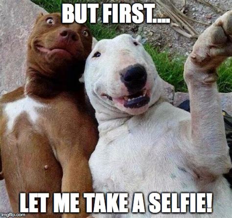 selfie dogs - Imgflip