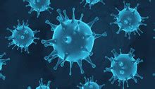 Corona Virus Free Stock Photo - Public Domain Pictures