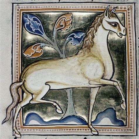 Bodleian Library, MS. Ashmole 1511, Folio 32v A spirited and finely-drawn horse. Medieval Horse ...