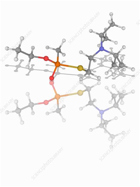 VX nerve agent molecule - Stock Image - F017/0127 - Science Photo Library