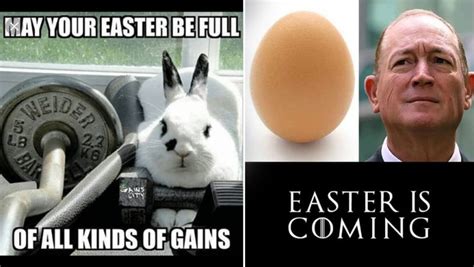 Happy Easter 2019: Check Out These Funny Bunny Memes That Will Make Your Sunday Celebrations ...