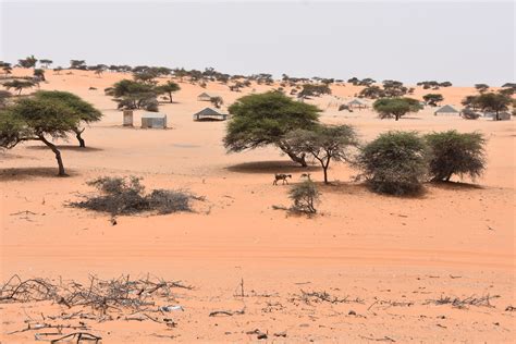 Nouakchott | Flickr