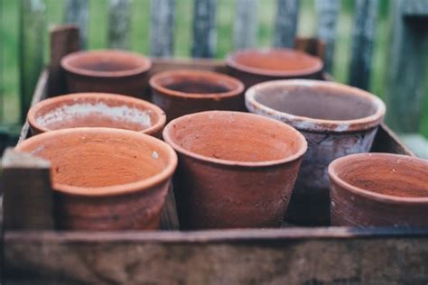 Free Images : plant, wood, leaf, pot, rust, ceramic, brown, soil, crack, brick, material ...
