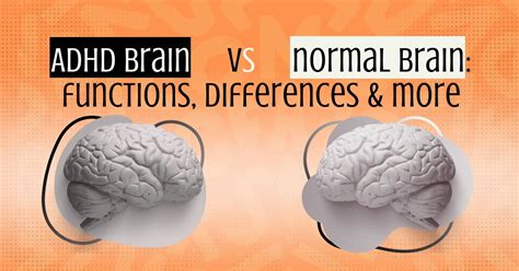 ADHD Brain vs Normal Brain: Functions, Differences & More