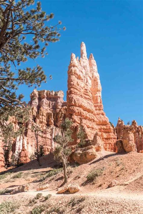 Bryce Canyon's Hoodoos: A Visitors Guide – Insider's Utah