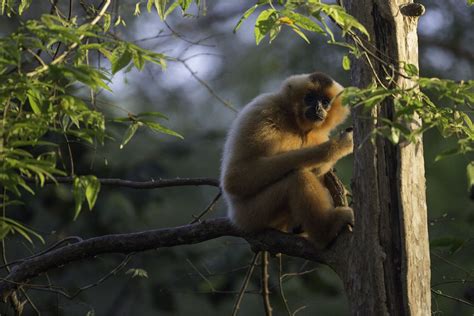 Cat Tien National Park - Travel guide 2024 & 5 highlights