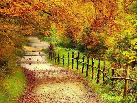 🔥 [0+] Wallpapers Autumn Scenery | WallpaperSafari