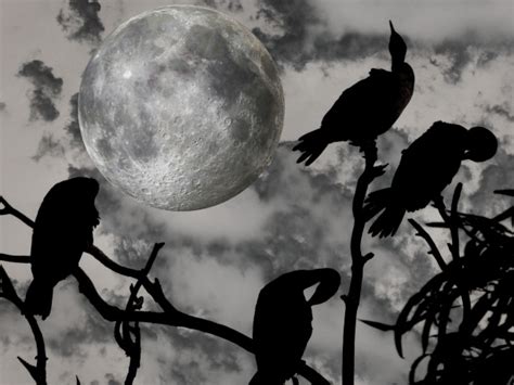 Halloween Full Moon Free Stock Photo - Public Domain Pictures